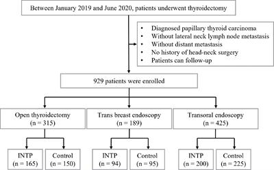 Effects of Intraoperative Neural Tunnel in Protecting Recurrent Laryngeal Nerve: Experiences in Open, Trans Breast, and Transoral Endoscopic Thyroidectomy